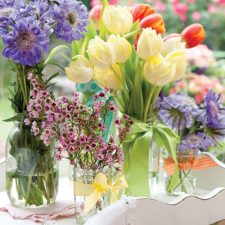 Alternative view of Flowers with Southern Lady