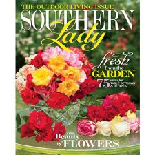 Southern Lady May/June 2015