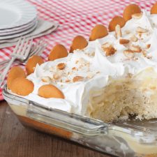 Alternative view of Taste of the South Potluck 2019