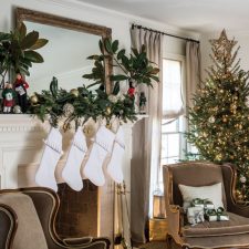 Alternative view of Southern Lady November/December 2019