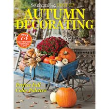 Southern Lady Classics Autumn Decorating 2019