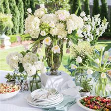 Alternative view of Southern Lady May/June 2020