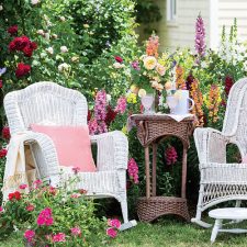 Alternative view of Southern Lady Southern Gardens 2020