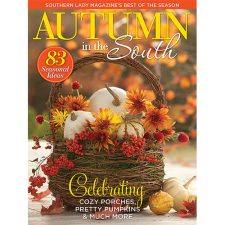 Southern Lady Autumn in the South 2020