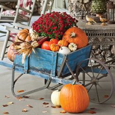 Alternative view of Entertain & Celebrate Fall Harvest 2020