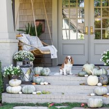 Alternative view of Southern Lady October 2020