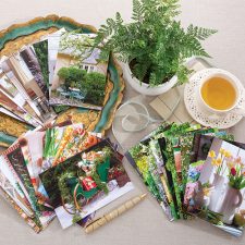 The Cottage Journal Exclusive Note Card Boxed Sets