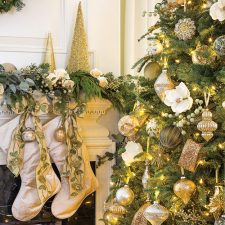 Alternative view of Southern Lady November/December 2020