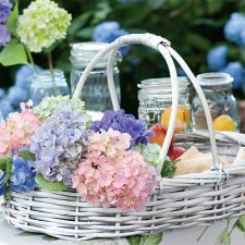 Alternative view of Southern Home Garden Favorites 2021