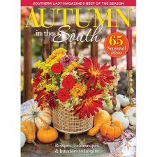 Southern Lady Autumn in the South 2023