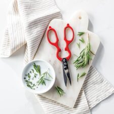 Zwilling Kitchen Shears