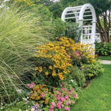 Outdoor flowers and garden